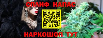 спиды Абинск